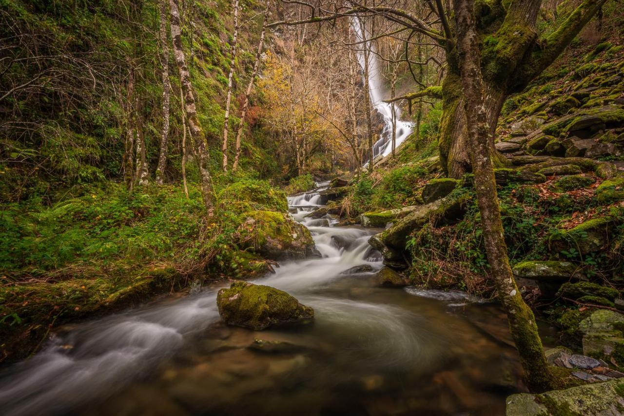 A Casoa II Daire Santa Eulalia de Oscos Dış mekan fotoğraf