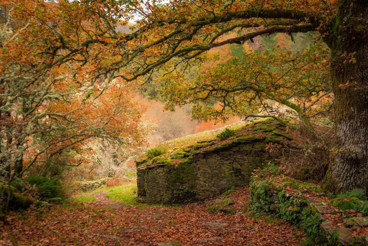A Casoa II Daire Santa Eulalia de Oscos Dış mekan fotoğraf